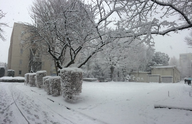 Tokyo University of Agriculture and Technology, Tokyo, Japan (January 2018).